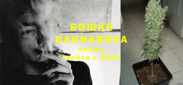 mix Белокуриха
