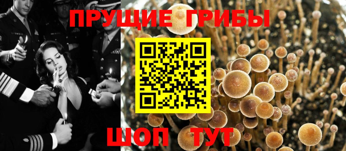 Галлюциногенные грибы мухоморы  Вход с VPN  Бузулук 