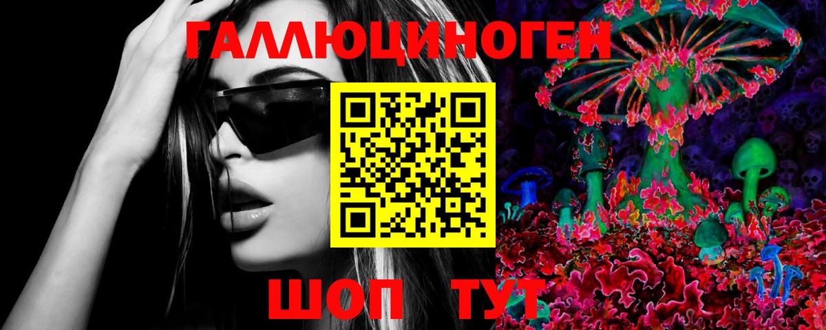 Псилоцибиновые грибы Psilocybine cubensis  Бузулук 