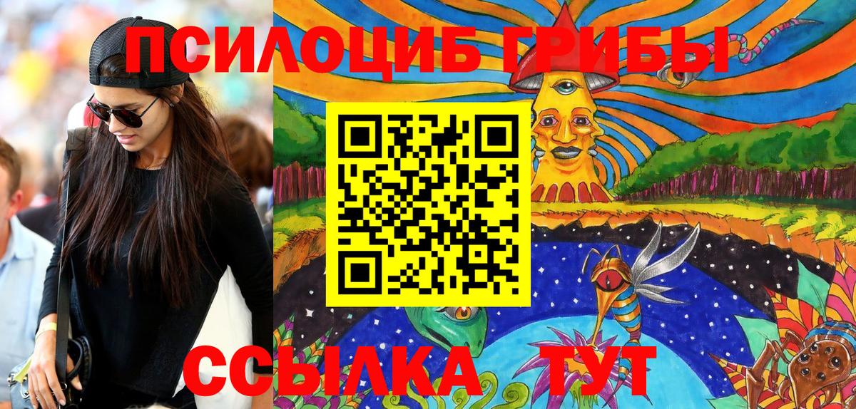 Галлюциногенные грибы Psilocybe Бузулук